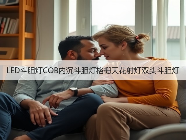 LED斗胆灯COB内沉斗胆灯格栅天花射灯双头斗胆灯(图1)