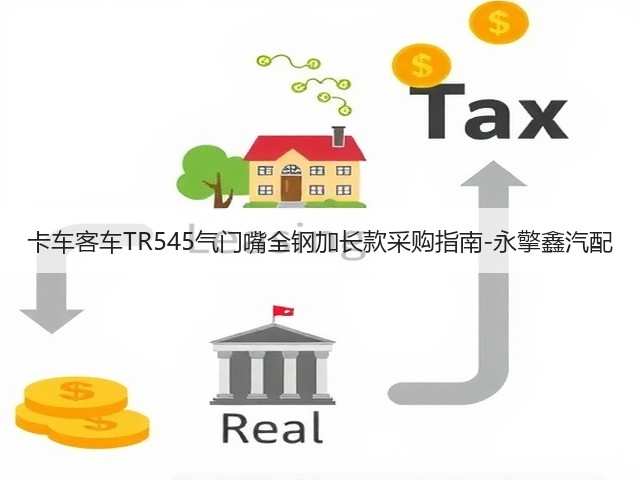 卡车客车TR545气门嘴全钢加长款采购指南-永擎鑫汽配(图3)