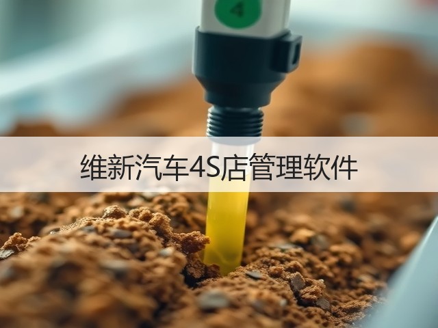 维新汽车4S店管理软件(图3) 维新汽车4S店管理软件(图3)