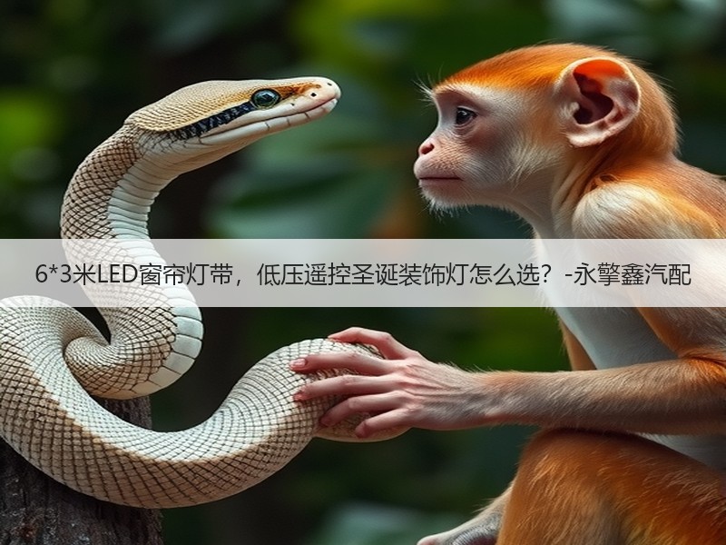 6*3米LED窗帘灯带，低压遥控圣诞装饰灯怎么选？-永擎鑫汽配
