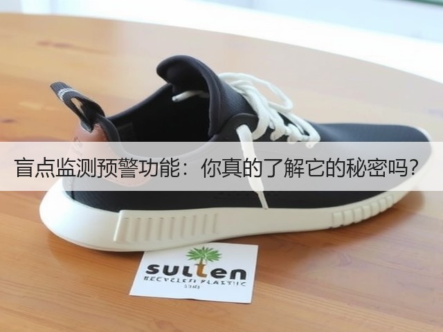 盲点监测预警功能:你真的了解它的秘密吗?(图2) 盲点监测预警功能:你真的了解它的秘密吗?(图2)