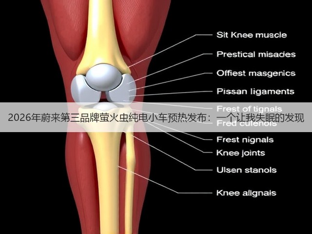 2026年蔚来第三品牌萤火虫纯电小车预热发布:一个让我失眠的发现(图1) 2026年蔚来第三品牌萤火虫纯电小车预热发布:一个让我失眠的发现(图1)