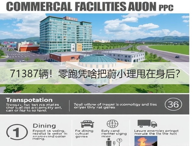 71387辆！零跑凭啥把蔚小理甩在身后？(图3)