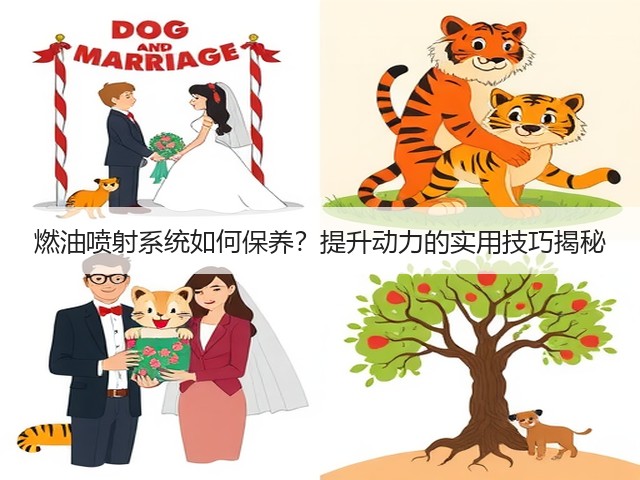 燃油喷射系统如何保养?提升动力的实用技巧揭秘(图1) 燃油喷射系统如何保养?提升动力的实用技巧揭秘(图1)