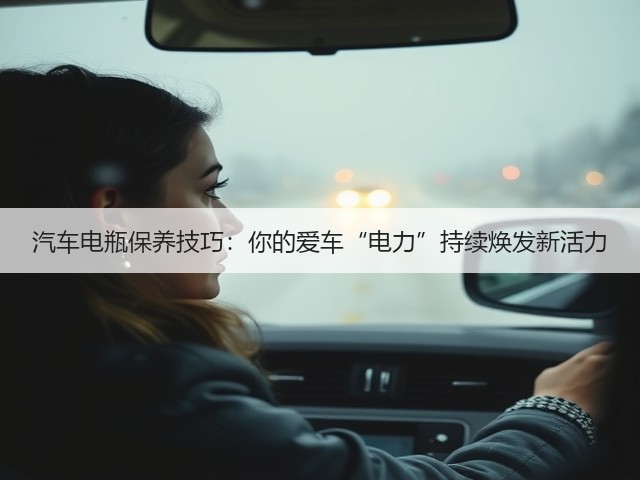 汽车电瓶保养技巧:你的爱车“电力”持续焕发新活力(图2) 汽车电瓶保养技巧:你的爱车“电力”持续焕发新活力(图2)