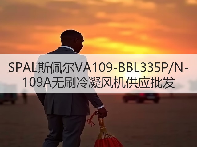 SPAL斯佩尔VA109-BBL335P/N-109A无刷冷凝风机供应批发(图3)