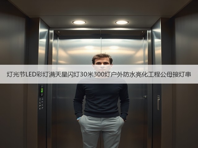 灯光节LED彩灯满天星闪灯30米300灯户外防水亮化工程公母接灯串(图3) 灯光节LED彩灯满天星闪灯30米300灯户外防水亮化工程公母接灯串(图3)