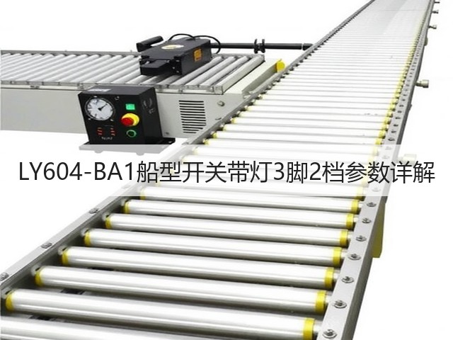 LY604-BA1船型开关带灯3脚2档参数详解(图1) LY604-BA1船型开关带灯3脚2档参数详解(图1)