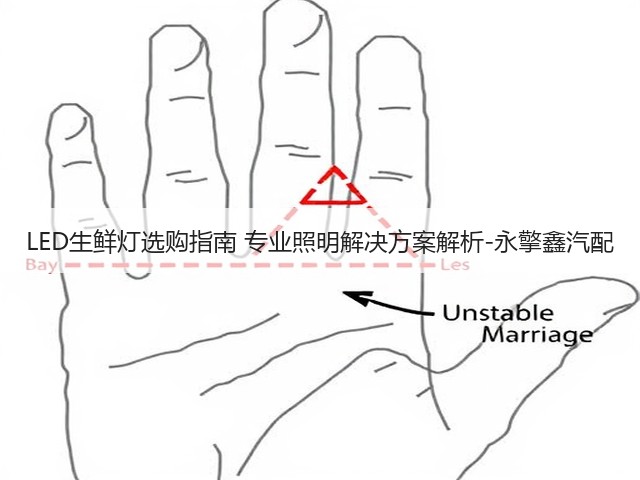 LED生鲜灯选购指南 专业照明解决方案解析-永擎鑫汽配(图3) LED生鲜灯选购指南 专业照明解决方案解析-永擎鑫汽配(图3)