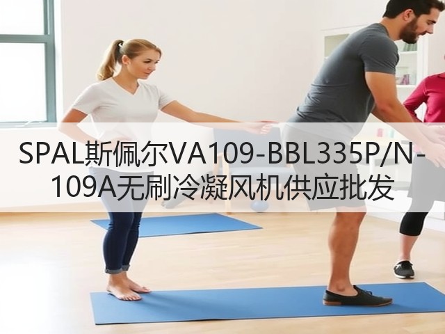 SPAL斯佩尔VA109-BBL335P/N-109A无刷冷凝风机供应批发(图2)