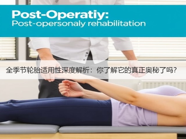 全季节轮胎适用性深度解析:你了解它的真正奥秘了吗?(图1) 全季节轮胎适用性深度解析:你了解它的真正奥秘了吗?(图1)