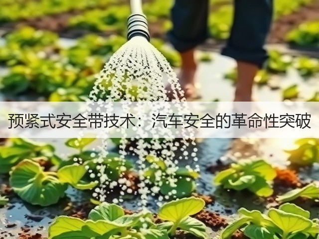 预紧式安全带技术:汽车安全的革命性突破(图2) 预紧式安全带技术:汽车安全的革命性突破(图2)