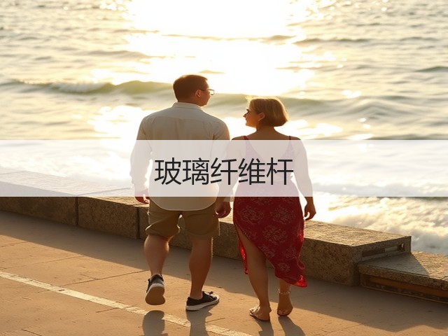 玻璃纤维杆(图1)