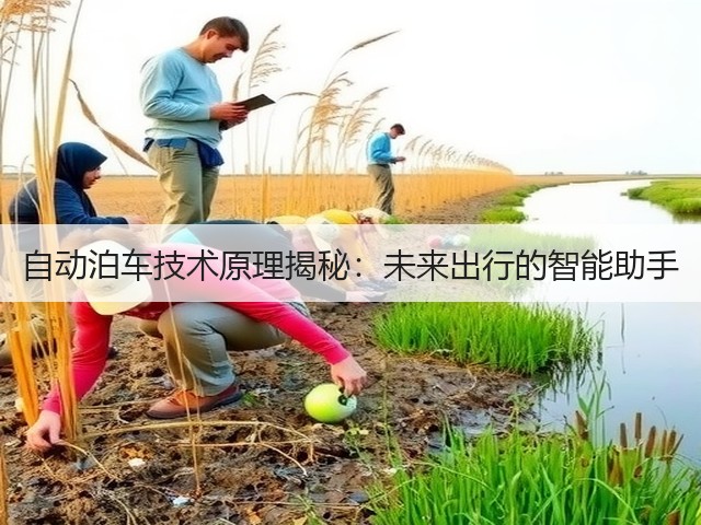 自动泊车技术原理揭秘:未来出行的智能助手(图1) 自动泊车技术原理揭秘:未来出行的智能助手(图1)