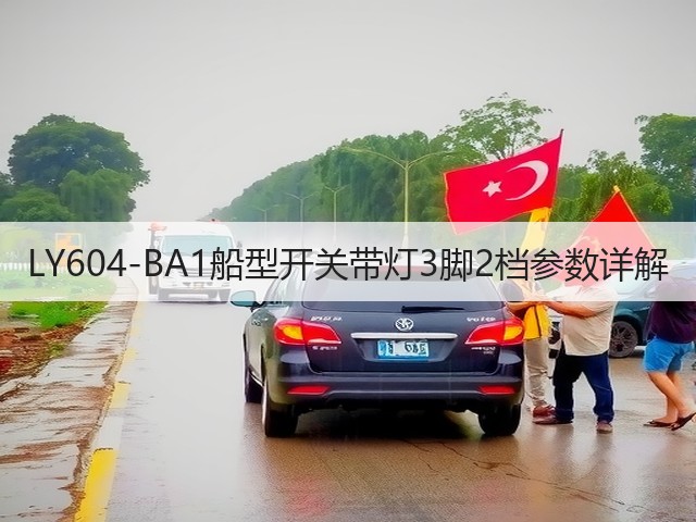 LY604-BA1船型开关带灯3脚2档参数详解(图2) LY604-BA1船型开关带灯3脚2档参数详解(图2)