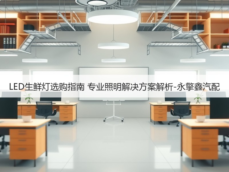 LED生鲜灯选购指南 专业照明解决方案解析-永擎鑫汽配