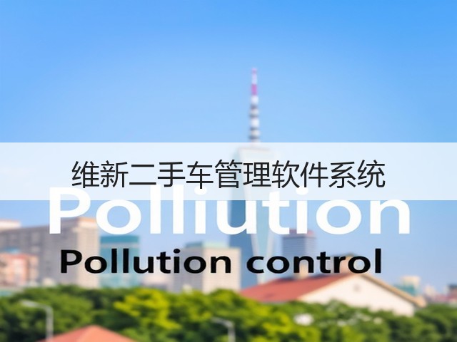 维新二手车管理软件系统(图3)