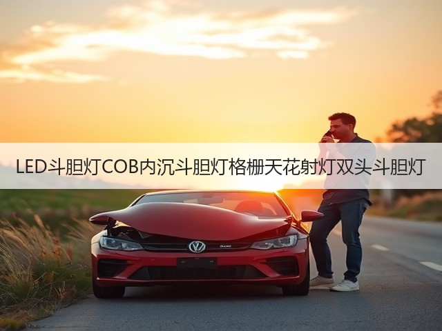 LED斗胆灯COB内沉斗胆灯格栅天花射灯双头斗胆灯(图3)