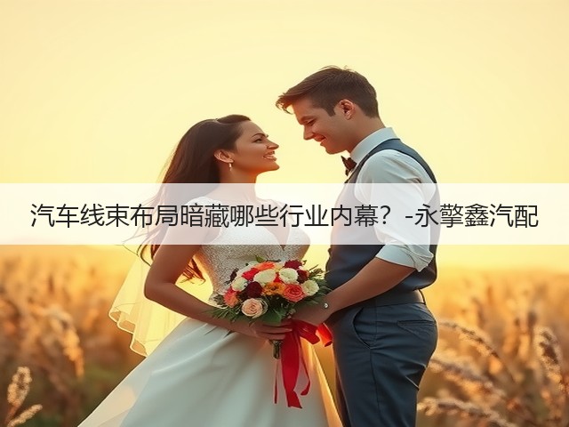 汽车线束布局暗藏哪些行业内幕?-永擎鑫汽配(图2) 汽车线束布局暗藏哪些行业内幕?-永擎鑫汽配(图2)