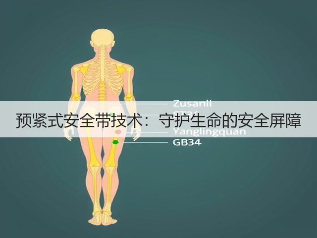 预紧式安全带技术:守护生命的安全屏障(图3) 预紧式安全带技术:守护生命的安全屏障(图3)