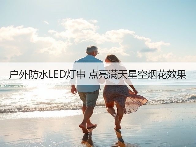 户外防水LED灯串 点亮满天星空烟花效果(图2)