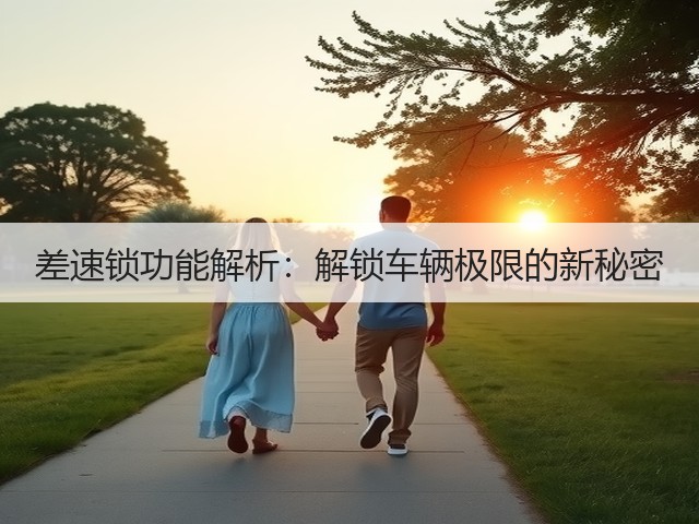 差速锁功能解析：解锁车辆极限的新秘密(图1)