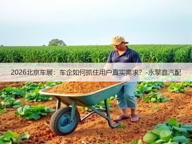 2026北京车展：车企如何抓住用户真实需求？-永擎鑫汽配(图1)