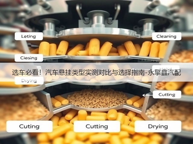 选车必看!汽车悬挂类型实测对比与选择指南-永擎鑫汽配(图3) 选车必看!汽车悬挂类型实测对比与选择指南-永擎鑫汽配(图3)