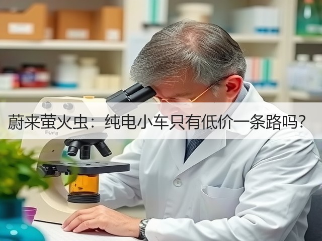 蔚来萤火虫：纯电小车只有低价一条路吗？(图1)