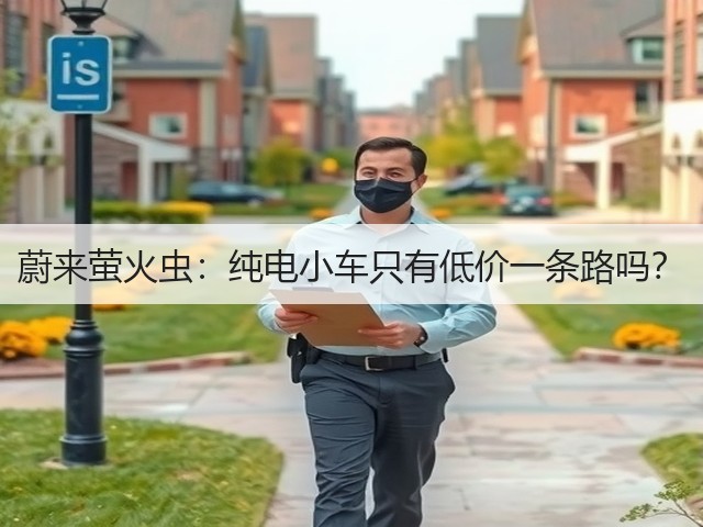 蔚来萤火虫：纯电小车只有低价一条路吗？(图2)