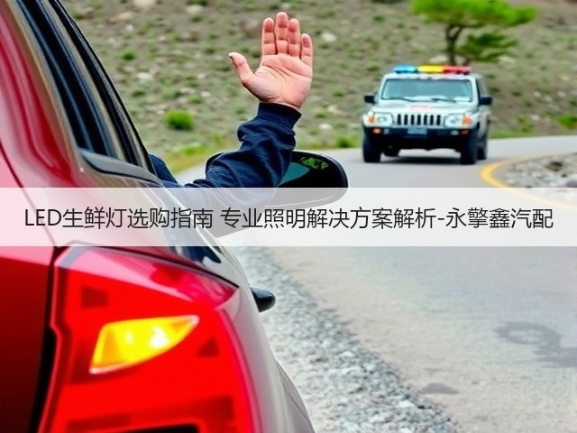 LED生鲜灯选购指南 专业照明解决方案解析-永擎鑫汽配(图2) LED生鲜灯选购指南 专业照明解决方案解析-永擎鑫汽配(图2)
