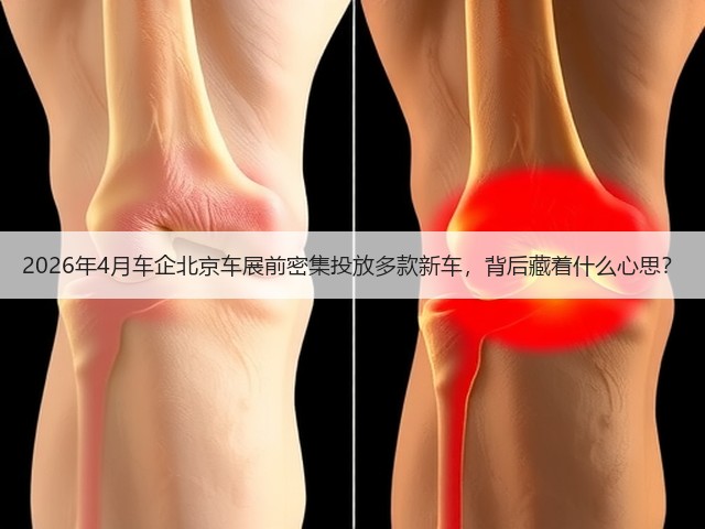 2026年4月车企北京车展前密集投放多款新车,背后藏着什么心思?(图1) 2026年4月车企北京车展前密集投放多款新车,背后藏着什么心思?(图1)