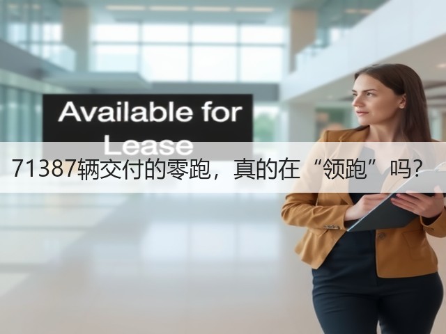 71387辆交付的零跑,真的在“领跑”吗?(图3) 71387辆交付的零跑,真的在“领跑”吗?(图3)