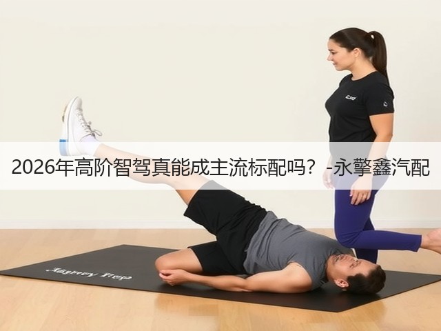 2026年高阶智驾真能成主流标配吗?-永擎鑫汽配(图3) 2026年高阶智驾真能成主流标配吗?-永擎鑫汽配(图3)