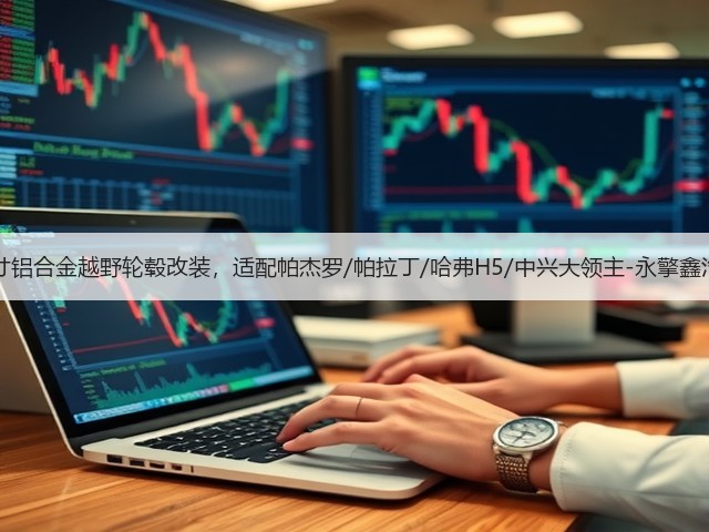 16寸铝合金越野轮毂改装，适配帕杰罗/帕拉丁/哈弗H5/中兴大领主-永擎鑫汽配(图3)
