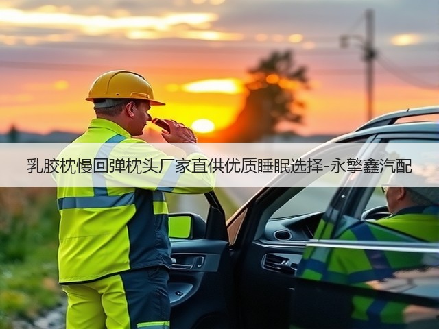 乳胶枕慢回弹枕头厂家直供优质睡眠选择-永擎鑫汽配(图2)