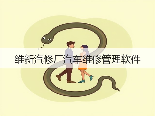 维新汽修厂汽车维修管理软件(图2) 维新汽修厂汽车维修管理软件(图2)