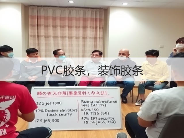 PVC胶条，装饰胶条(图1)