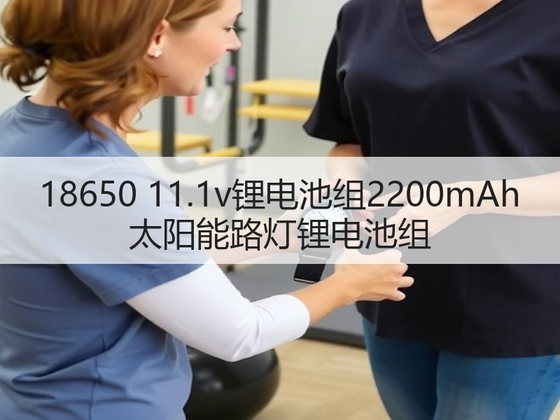 18650 11.1v锂电池组2200mAh 太阳能路灯锂电池组