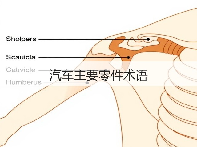 汽车主要零件术语(图3) 汽车主要零件术语(图3)