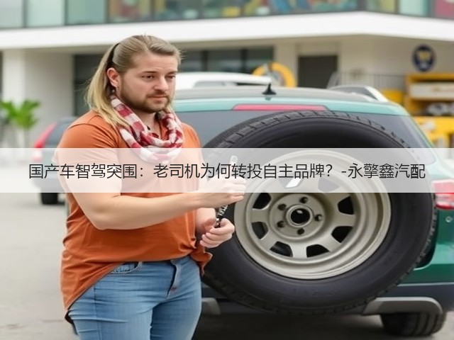 国产车智驾突围:老司机为何转投自主品牌?-永擎鑫汽配(图3) 国产车智驾突围:老司机为何转投自主品牌?-永擎鑫汽配(图3)