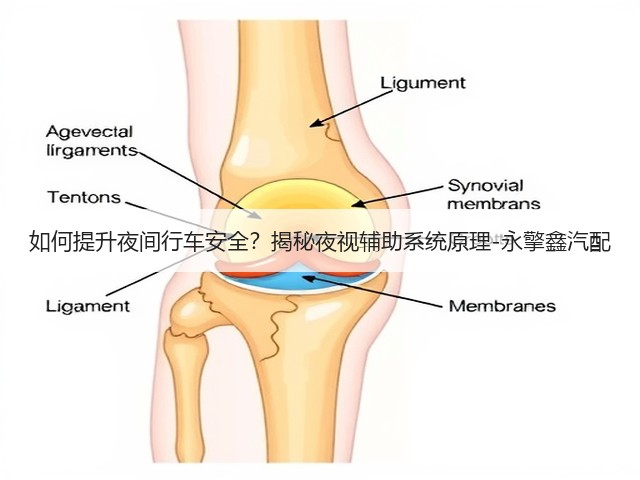 如何提升夜间行车安全?揭秘夜视辅助系统原理-永擎鑫汽配(图1) 如何提升夜间行车安全?揭秘夜视辅助系统原理-永擎鑫汽配(图1)