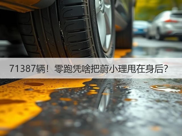 71387辆！零跑凭啥把蔚小理甩在身后？(图2)