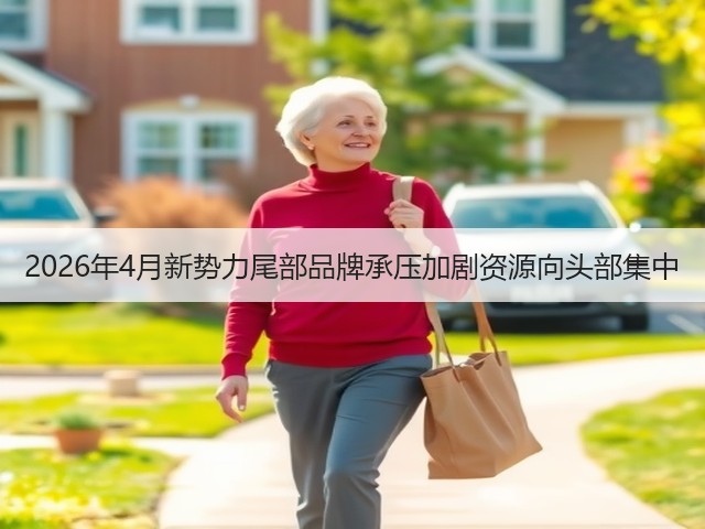 2026年4月新势力尾部品牌承压加剧资源向头部集中(图3) 2026年4月新势力尾部品牌承压加剧资源向头部集中(图3)